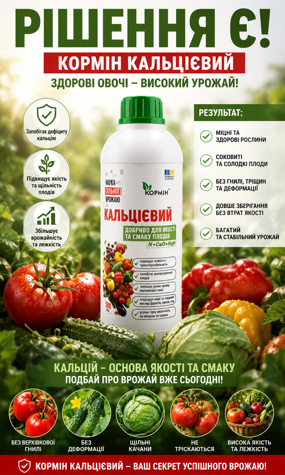 Стійкість сорту